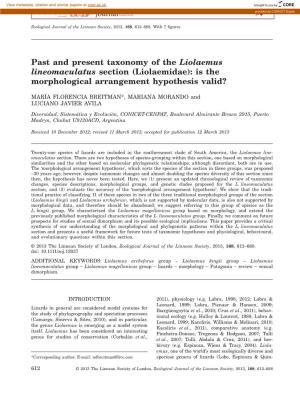 Past and Present Taxonomy of the Liolaemus Lineomaculatus Section (Liolaemidae): Is the Morphological Arrangement Hypothesis Valid?