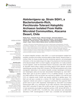 Haloterrigena Sp. Strain SGH1, a Bacterioruberin-Rich, Perchlorate-Tolerant Halophilic Archaeon Isolated from Halite Microbial Communities, Atacama Desert, Chile