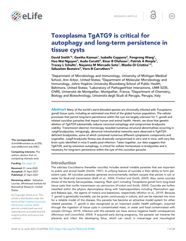 Toxoplasma Tgatg9 Is Critical for Autophagy and Long-Term