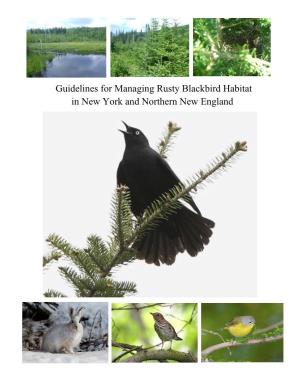 Rusty Blackbird Habitat in New York and Northern New England