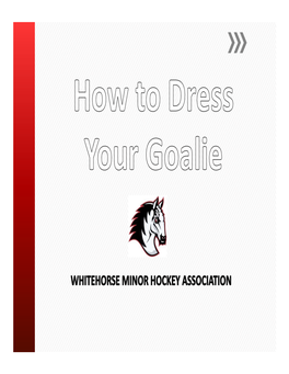 How to Dress Your Goalie