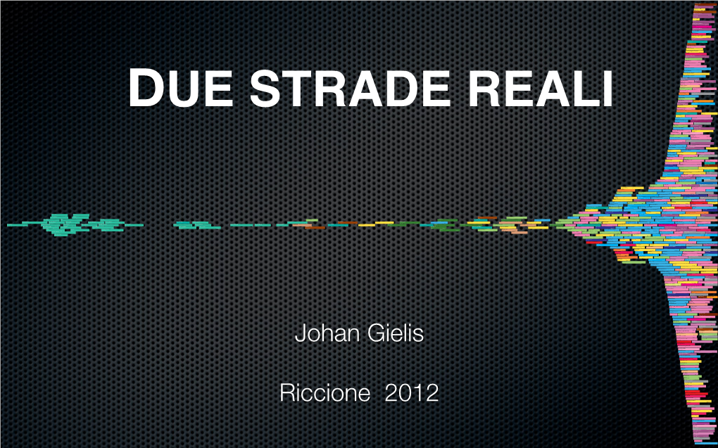 Johan Gielis Riccione 2012