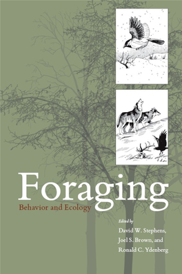 Foraging : Behavior and Ecology / [Edited By] David W