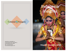 Indonesia Insights