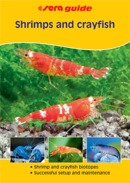 Shrimps and Crayfish