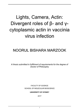And Γ- Cytoplasmic Actin in Vaccinia Virus Infection