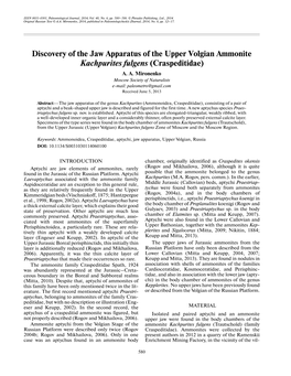 Discovery of the Jaw Apparatus of the Upper Volgian Ammonite Kachpurites Fulgens (Craspeditidae) A