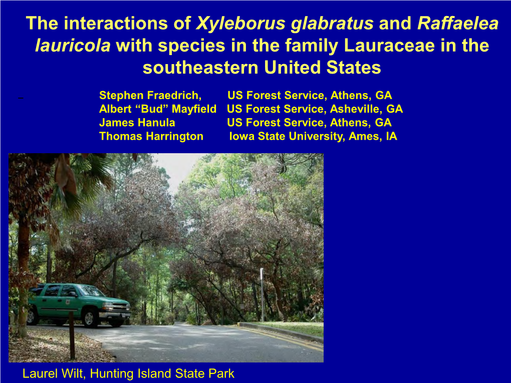 The Interactions of Xyleborus Glabratus and Raffaelea Lauricola with Species in the Family Lauraceae in the Southeastern United States