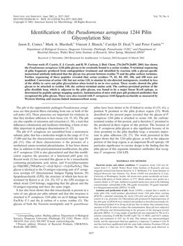 Identification of the Pseudomonas Aeruginosa 1244 Pilin