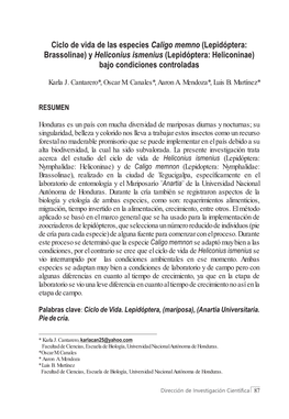 Ciclo De Vida De Las Especies Caligo Memno (Lepidóptera: Brassolinae) Y Heliconius Ismenius (Lepidóptera: Heliconinae) Bajo Condiciones Controladas