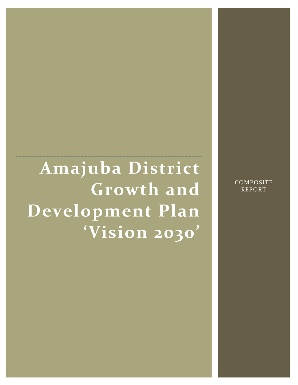 Amajuba District Growth and Development Plan 'Vision 2030'