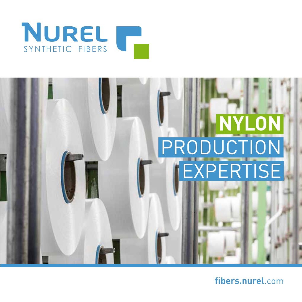 Nylon Production Expertise