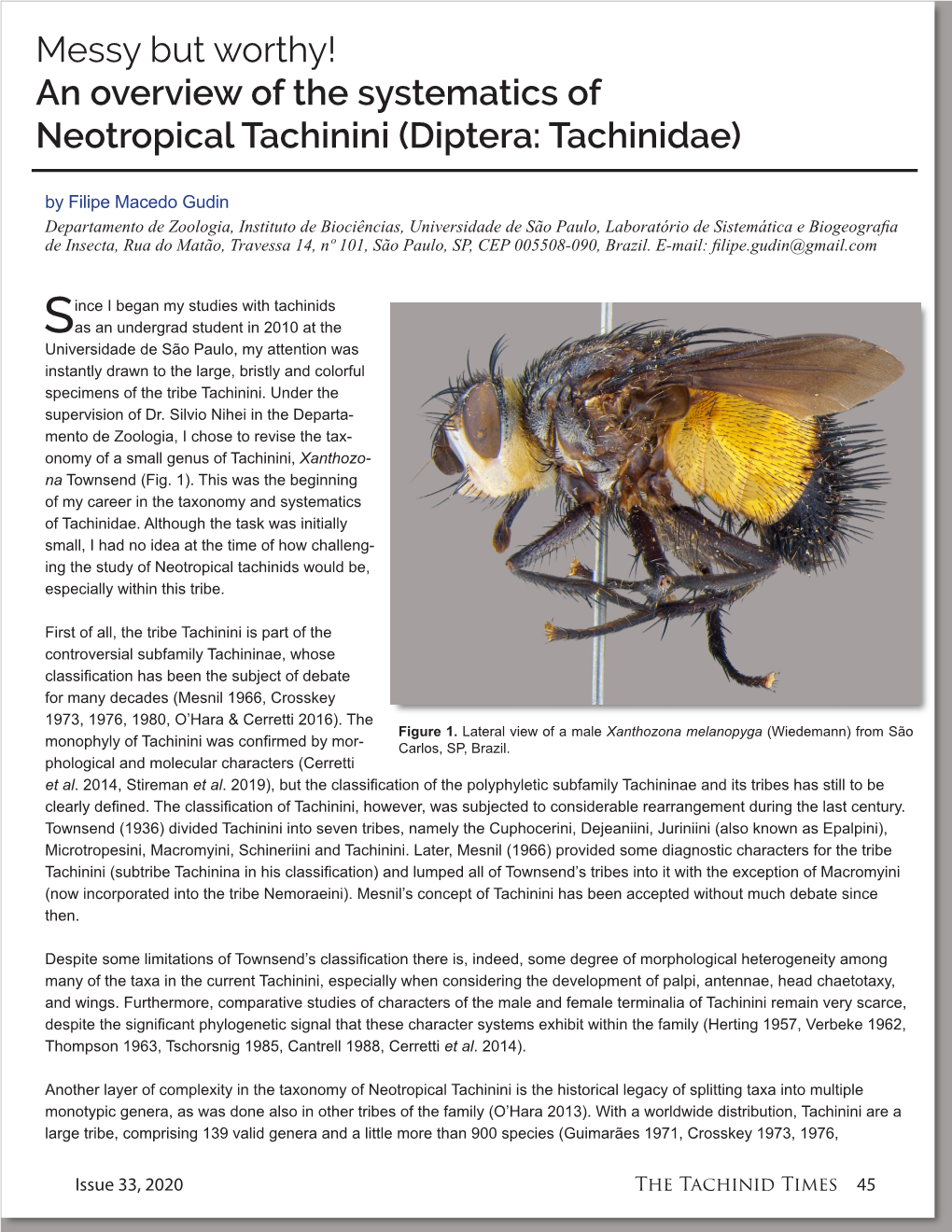 An Overview of the Systematics of Neotropical Tachinini (Diptera: Tachinidae)