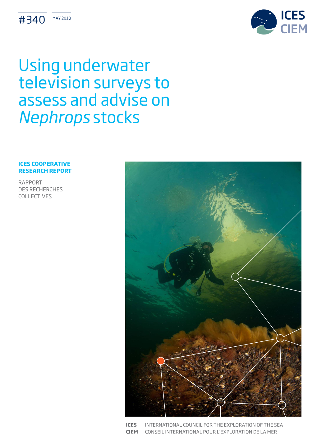 Using UWTV Surveys to Assess and Advise on Nephrops Stocks | I