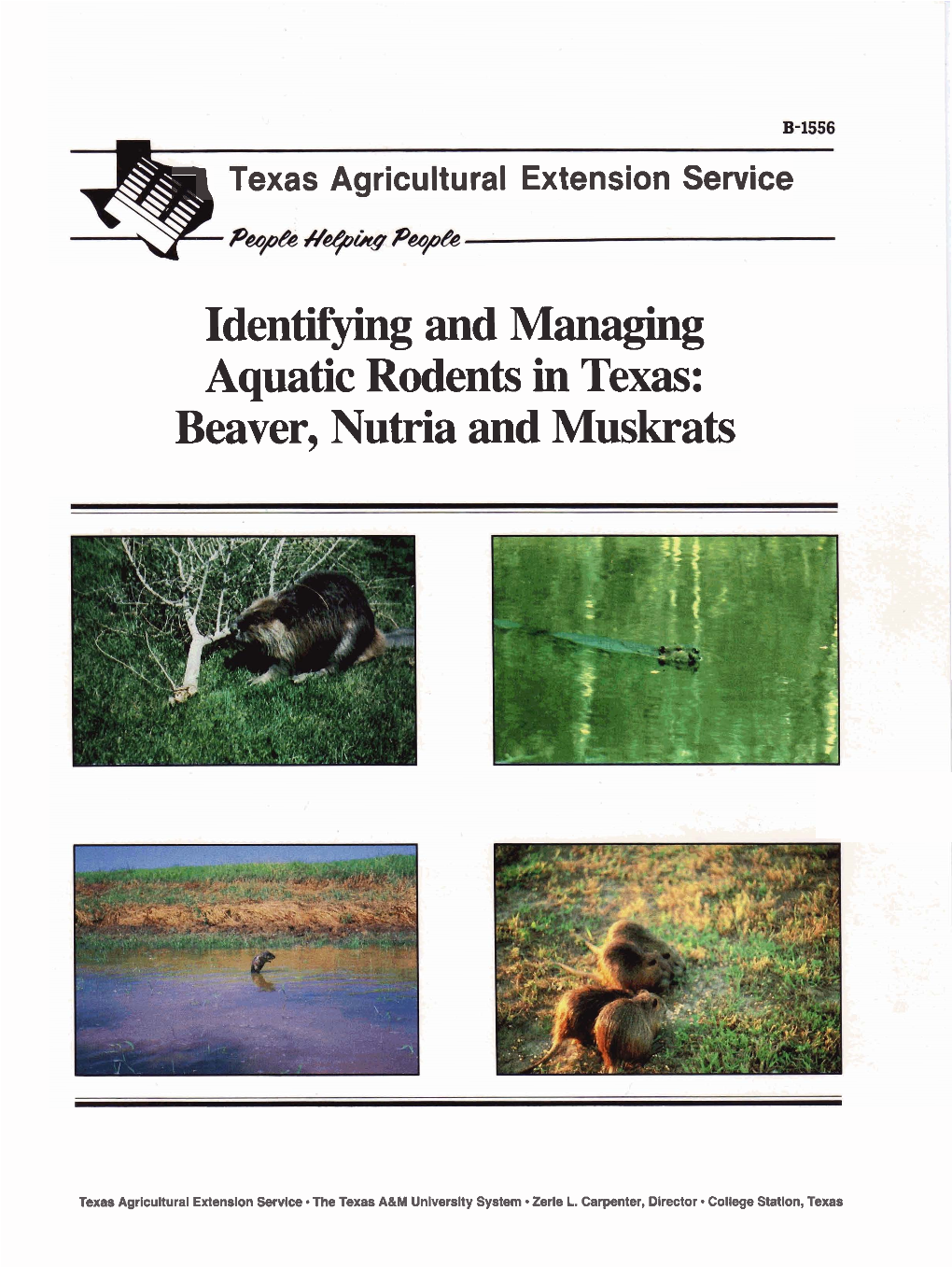 Identifying and Managing Aquatic Rodents in Texas: Beaver, Nutria and Muskrats