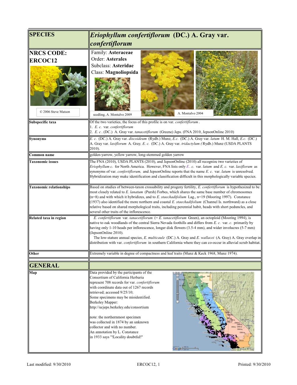 Eriophyllum Confertiflorum (DC.) A