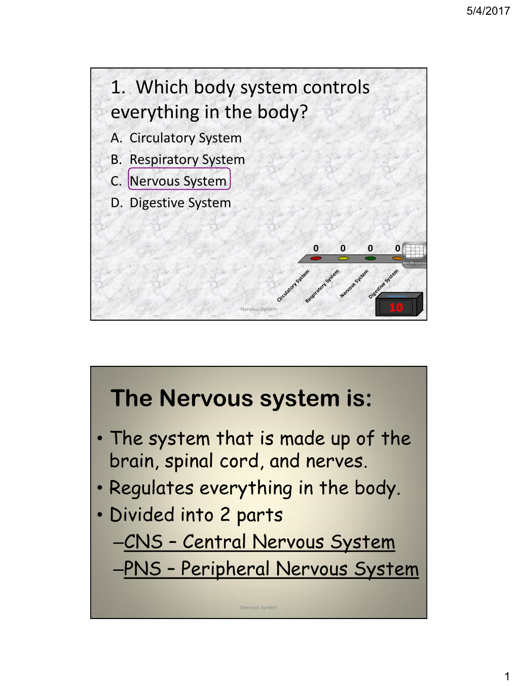 The Nervous System Is