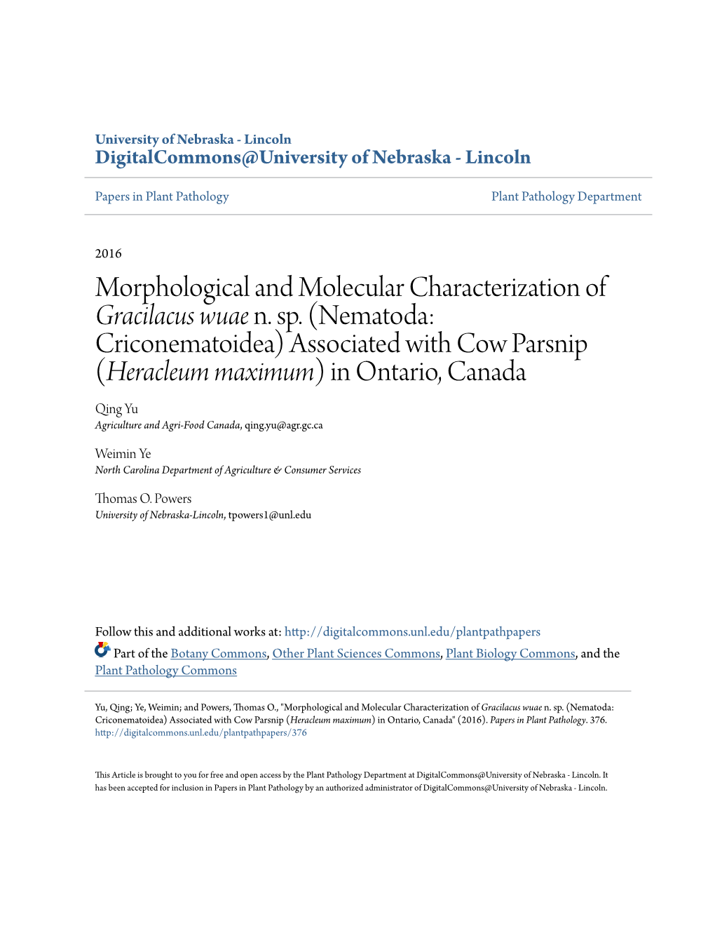 Morphological and Molecular Characterization of &lt;I&gt;Gracilacus