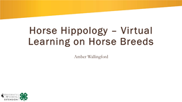 Horse Hippology – Virtual Learning on Horse Breeds