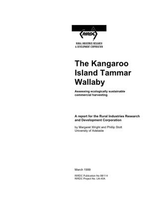 The Kangaroo Island Tammar Wallaby