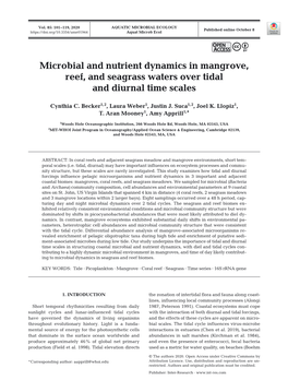 Microbial and Nutrient Dynamics in Mangrove, Reef, and Seagrass Waters Over Tidal and Diurnal Time Scales