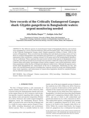 New Records of the Critically Endangered Ganges Shark Glyphis Gangeticus in Bangladeshi Waters: Urgent Monitoring Needed