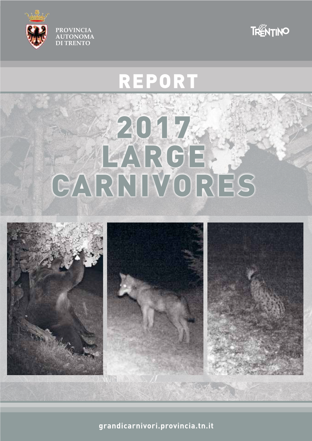 2017 Large Carnivores
