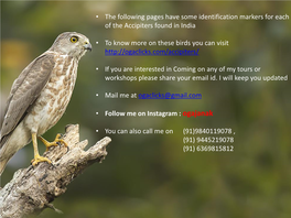 Accipiters Found in India