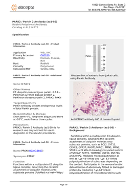 PARK2 / Parkin 2 Antibody (Aa1-50) Rabbit Polyclonal Antibody Catalog # ALS14772