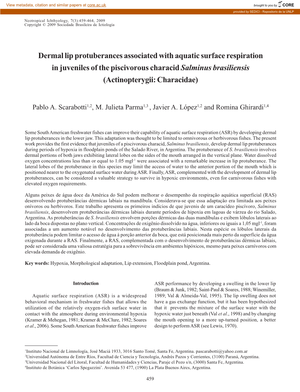 Dermal Lip Protuberances Associated with Aquatic Surface Respiration in Juveniles of the Piscivorous Characid Salminus Brasiliensis (Actinopterygii: Characidae)