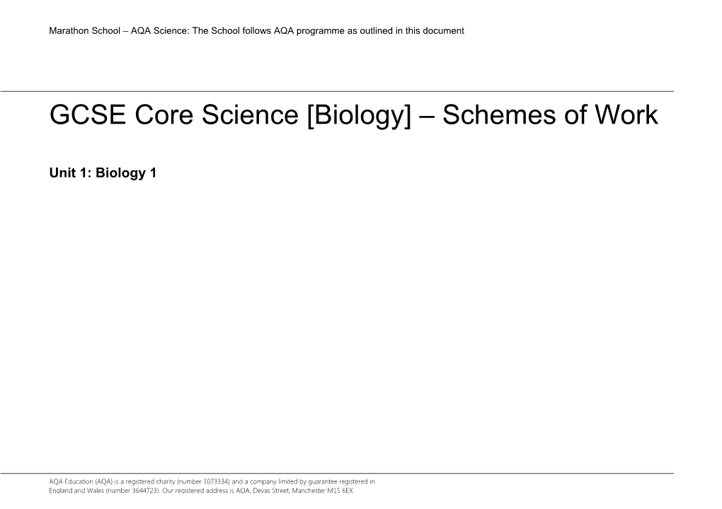 AQA Minutes Template