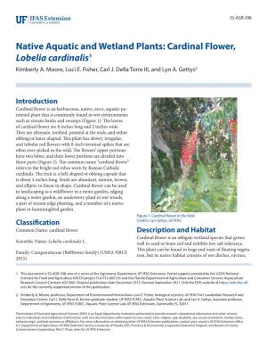 Native Aquatic and Wetland Plants: Cardinal Flower, Lobelia Cardinalis1 Kimberly A