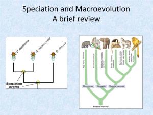 Speciation and Macroevolution a Brief Review Why Study Evolution?
