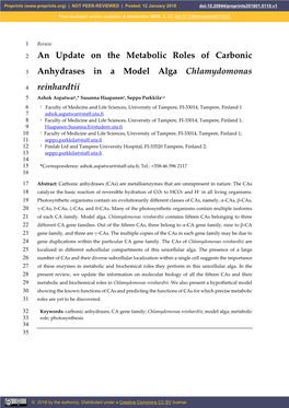 An Update on the Metabolic Roles of Carbonic Anhydrases in a Model