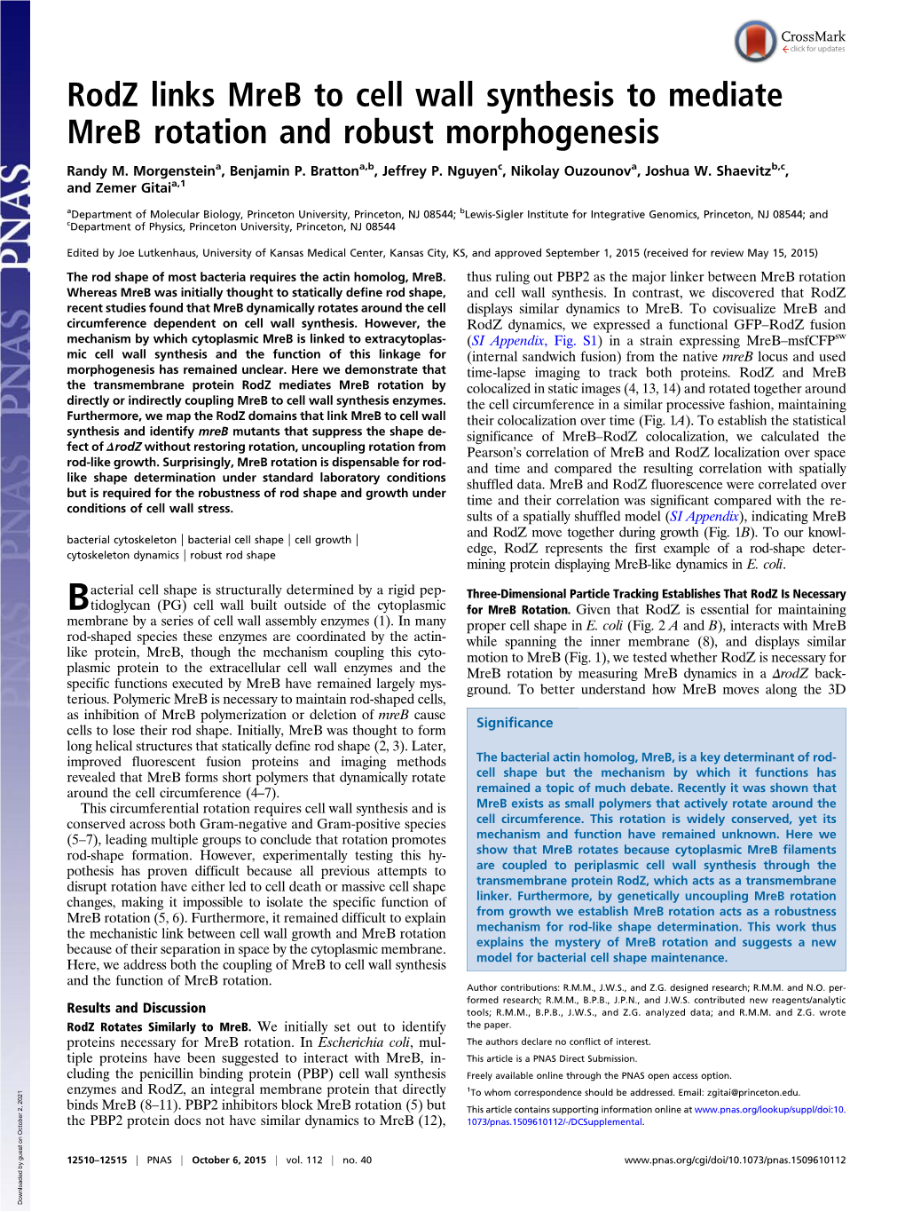 Rodz Links Mreb to Cell Wall Synthesis to Mediate Mreb Rotation and Robust Morphogenesis