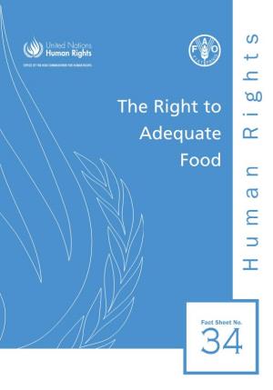 No. 34 the Right to Adequate Food
