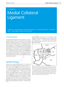 Medial Collateral Ligament, Pages 63