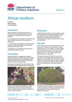 African Boxthorn PJ Gray EMK Joshua AC Mccaffery