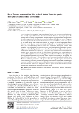 Use of Quercus Acorns and Leaf Litter by North African Thorectes Species (Coleoptera: Scarabaeoidea: Geotrupidae)