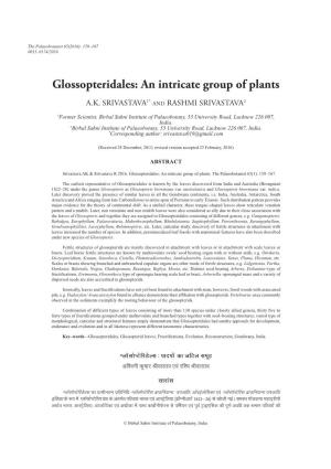 Glossopteridales: an Intricate Group of Plants