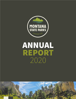 Download Our 2020 Annual Report