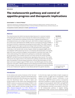 The Melanocortin Pathway and Control of Appetite-Progress and Therapeutic Implications