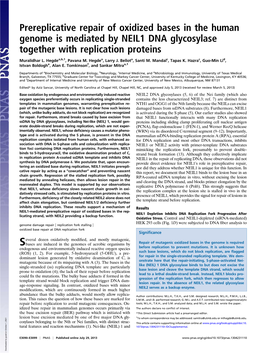 Prereplicative Repair of Oxidized Bases in the Human Genome Is Mediated by NEIL1 DNA Glycosylase Together with Replication Proteins