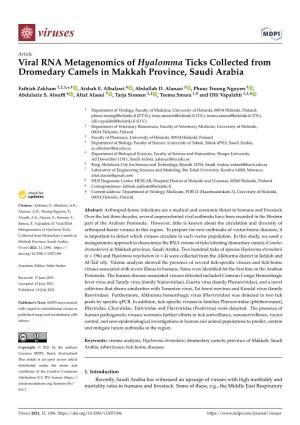Viral RNA Metagenomics of Hyalomma Ticks Collected from Dromedary Camels in Makkah Province, Saudi Arabia