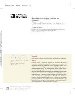 Cultural Evolution in Animals