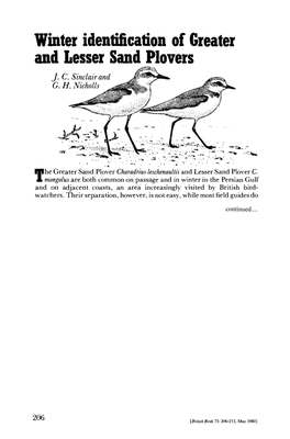 Winter Identification of Greater and Lesser Sand Plovers