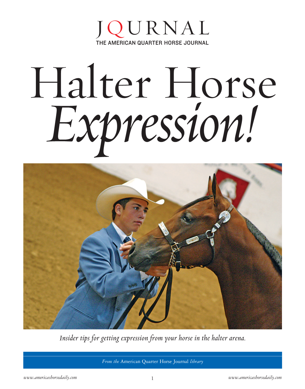 Halter Horse Expression!