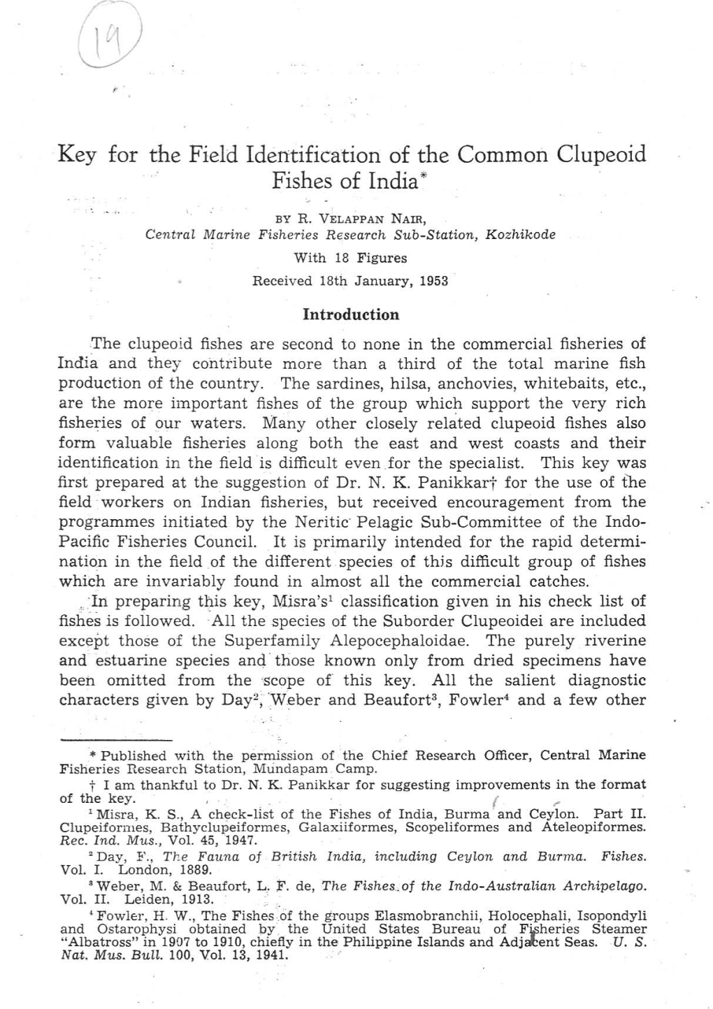 Key for the Field Identification of the Common Clupeoid Fishes of India *