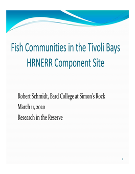 Fish Communities in the Tivoli Bays HRNERR Component Site