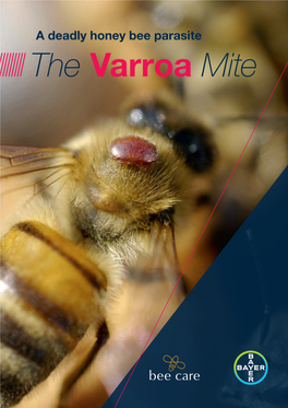 The Varroa Mite 2 the Varroa Mite INTRODUCTION 3
